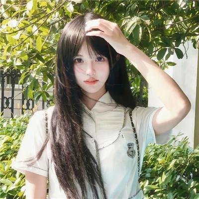 救援狗